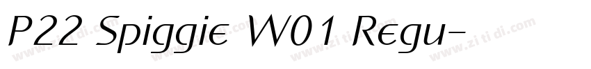 P22 Spiggie W01 Regu字体转换